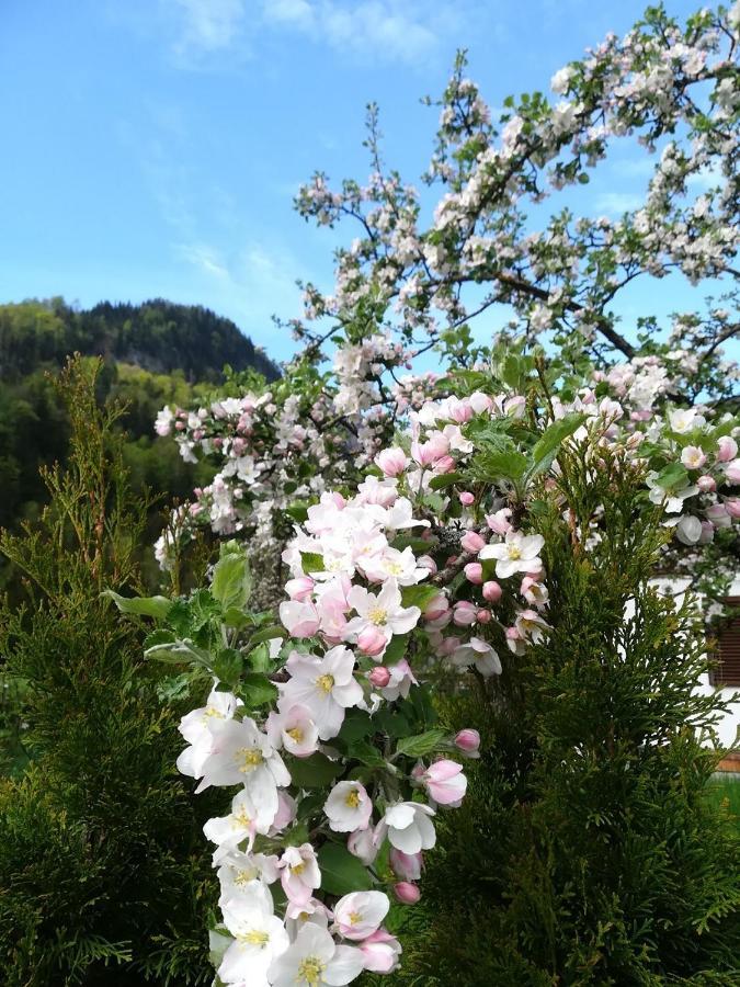 Appartementhaus Grill Strobl Esterno foto